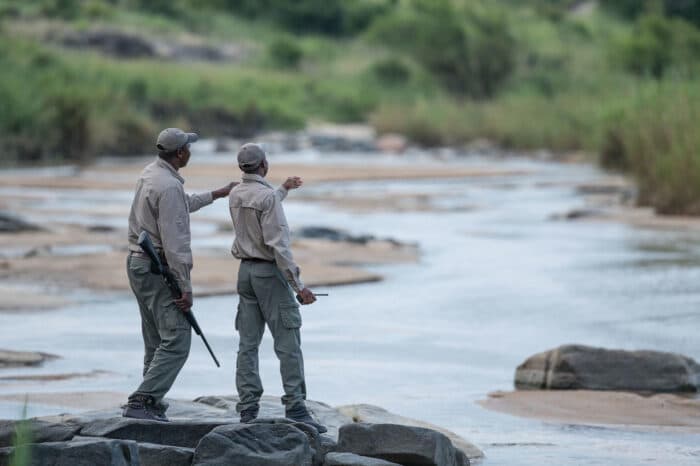 Cedarberg Travel | Singita Ebony