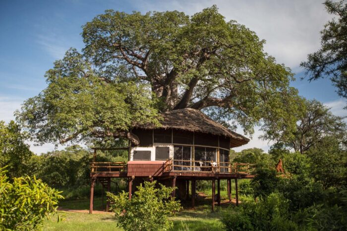 Cedarberg Travel | Tarangire Treetops