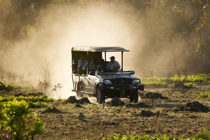 Cedarberg Travel | Kaingu Safari Lodge