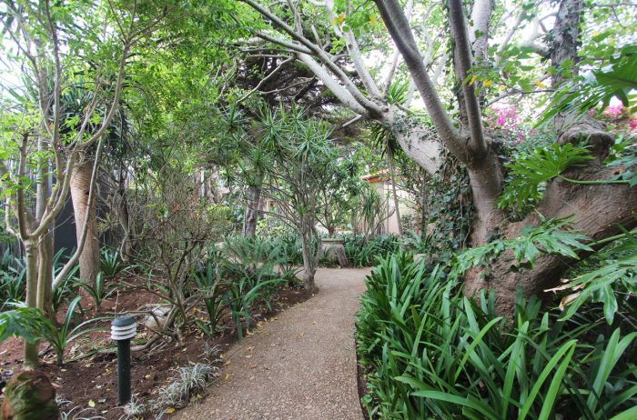 Cedarberg Travel | Singa Town Lodge