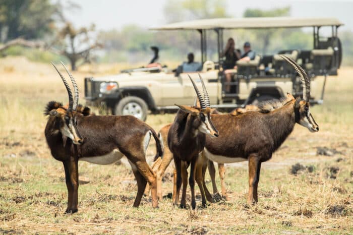 Cedarberg Travel | Camp Xugana