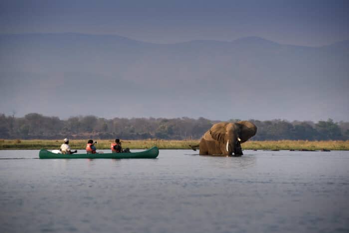 Cedarberg Travel | Nyamatusi Camp