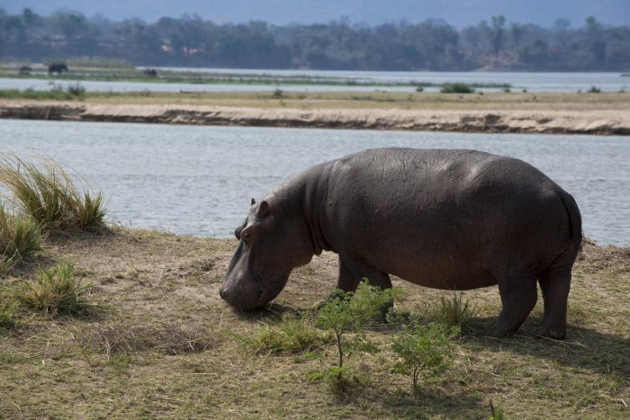 Cedarberg Travel | Zambezi Expeditions