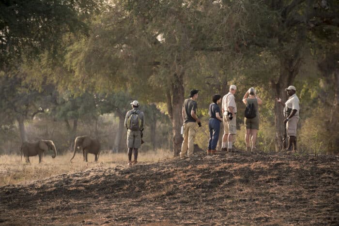 Cedarberg Travel | Nyamatusi Camp