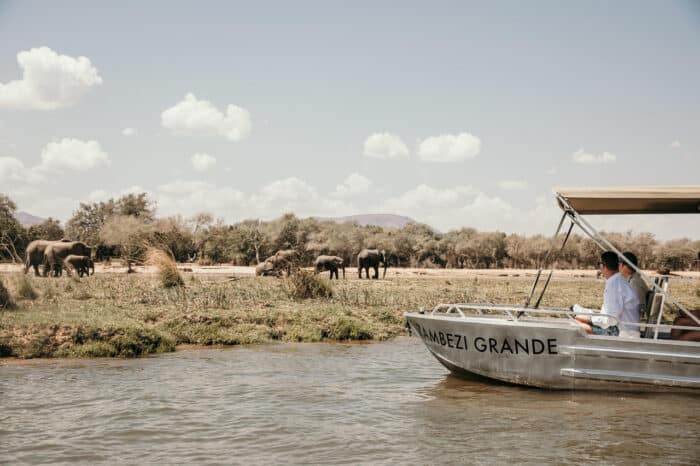 Cedarberg Travel | Zambezi Grande Game Lodge