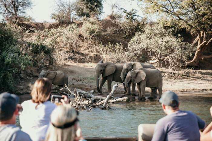 Cedarberg Travel | Zambezi Grande Game Lodge