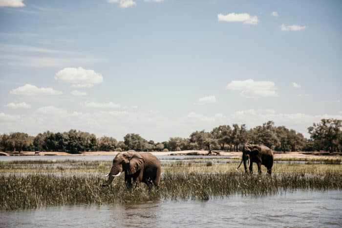 Cedarberg Travel | Zambezi Grande Game Lodge