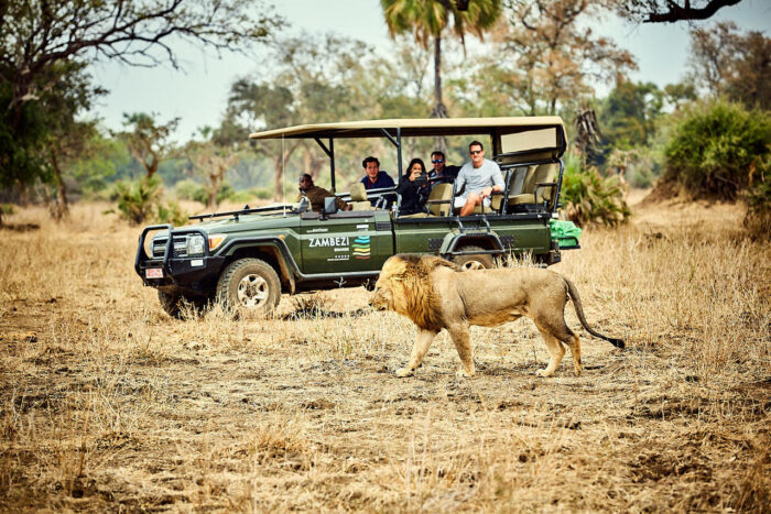 Cedarberg Travel | Zambezi Grande Game Lodge