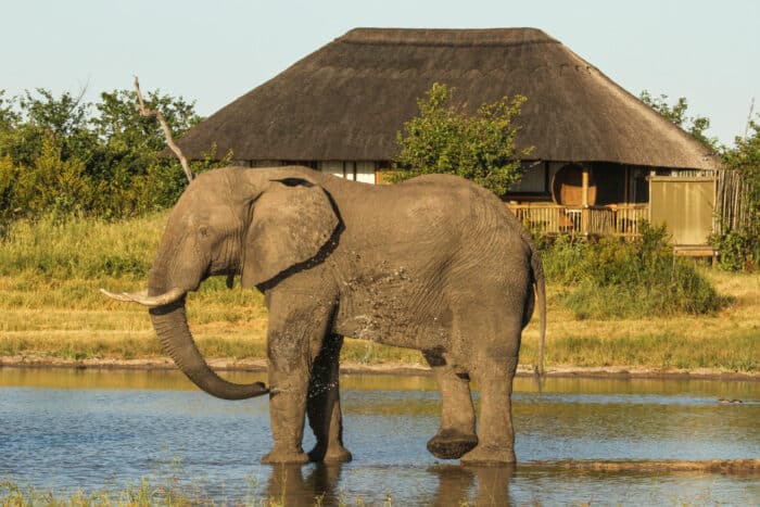 Cedarberg Travel | Nehimba Lodge
