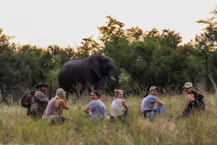 Cedarberg Travel | Nehimba Lodge