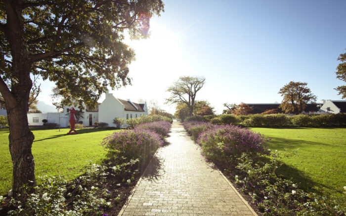 Cedarberg Travel | Steenberg Hotel & Spa