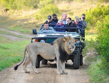 Tips on Wildlife Safari Photography – part 2