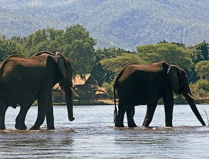 Zambia Family Safaris | Adventure Meets Luxury