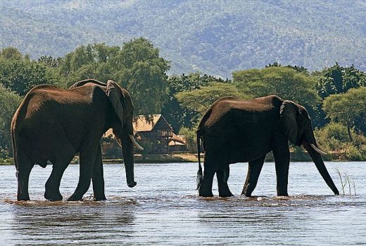 Lower Zambezi