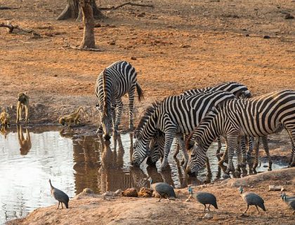 9 reasons to visit Malawi in 2025 – Africa’s Best Kept Secret