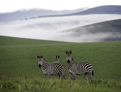 9 reasons to visit Malawi in 2025 – Africa’s Best Kept Secret