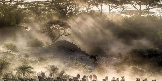 Serengeti National Park