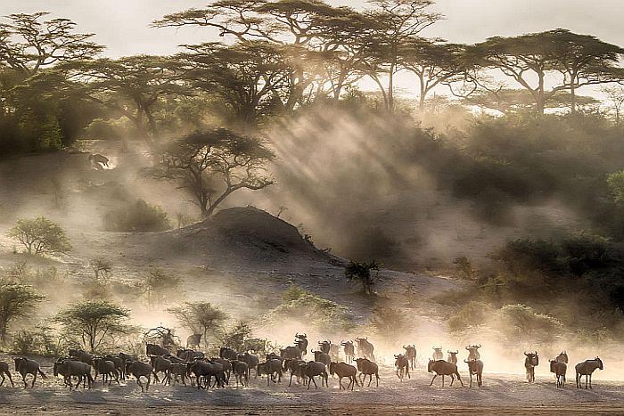 Serengeti National Park