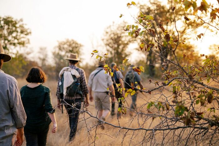 Cedarberg Travel | Simbavati Wildlife & Walking