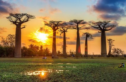 Best Victoria Falls Tours & & Things to Do in 2025