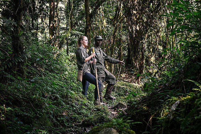 Walking in Bwindi Impenetrable Forest