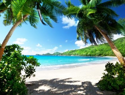 What are the best beaches in the Seychelles?