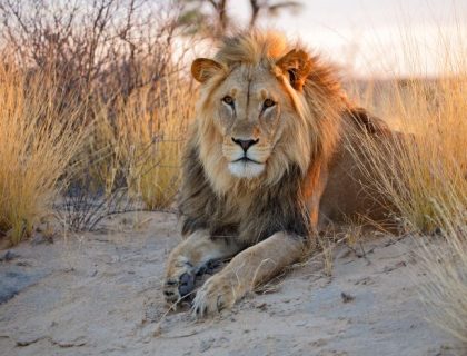 Adventurous Self-drive safari routes in South Africa & Namibia