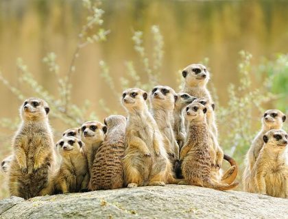 Adventurous Self-drive safari routes in South Africa & Namibia
