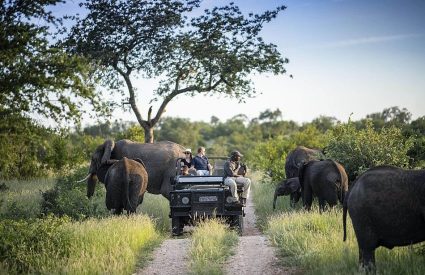 What does a Botswana safari cost in 2025?
