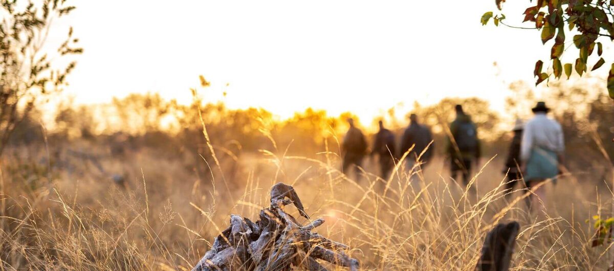 Walking safari South Africa - Simbavati Trails Camp