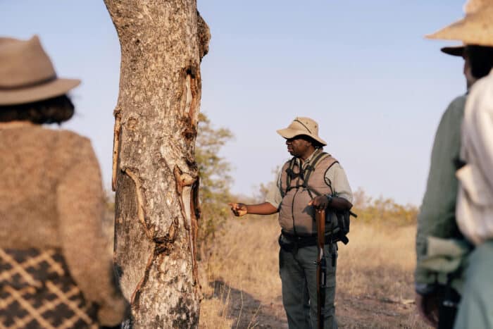 Cedarberg Travel | Simbavati Trails Camp