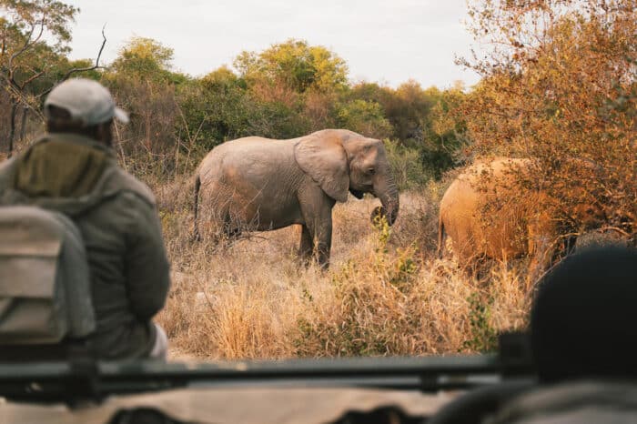 Cedarberg Travel | Simbavati River Lodge