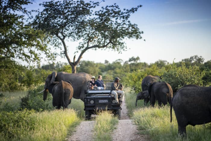 Cedarberg Travel | Simbavati Camp George