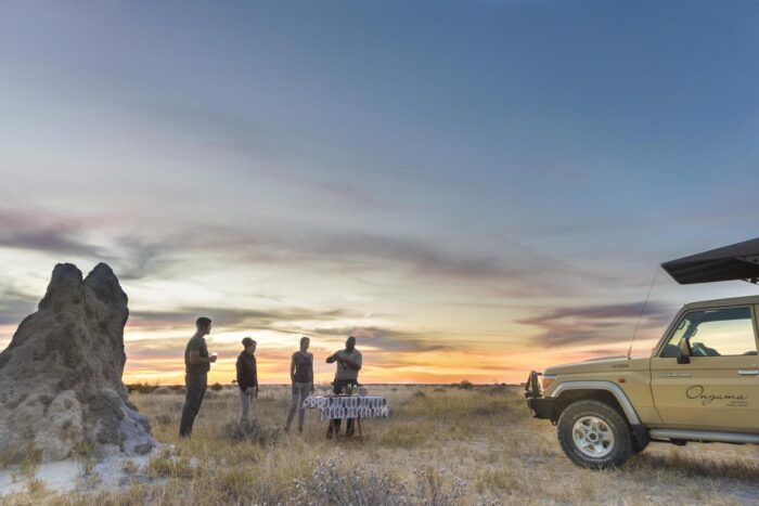 Cedarberg Travel | Onguma Forest Camp