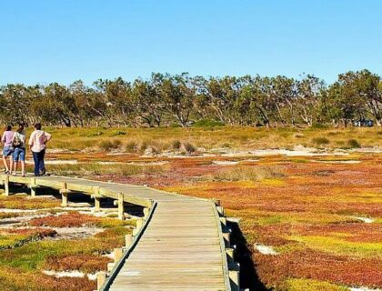 West Coast National Park, Cape West Coast