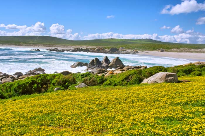 Beach at Langebaan, Cape West Coast