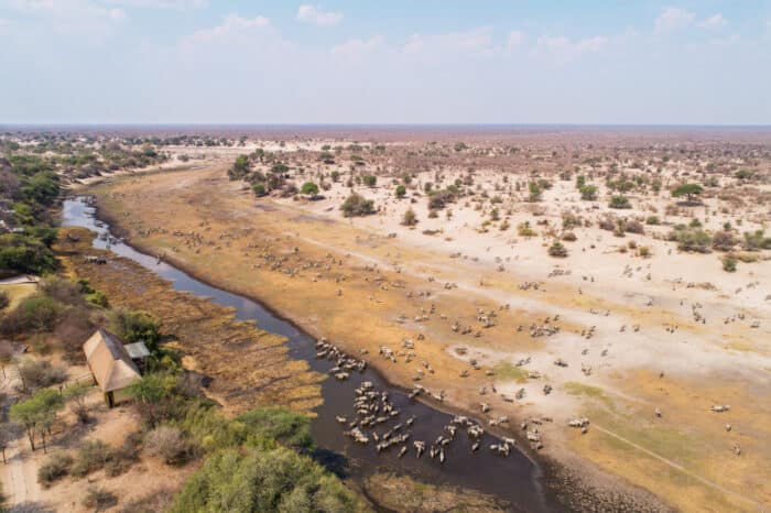 Cedarberg Travel | Botswana Community & Conservation Safari Offer