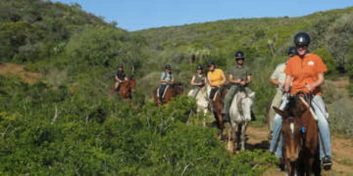 Cedarberg Travel | Amakhala Bush Lodge