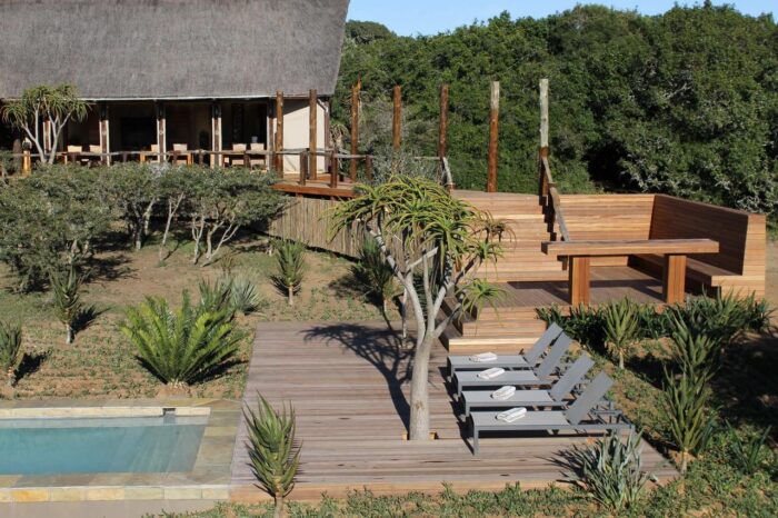 Cedarberg Travel | Amakhala Bush Lodge