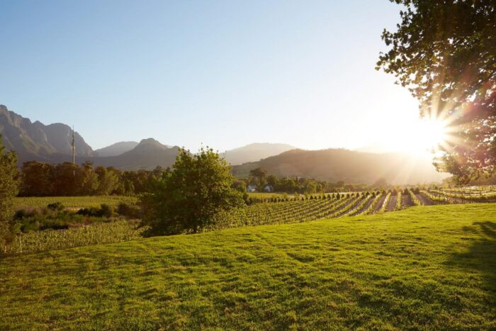 Cedarberg Travel | La Cotte Farm, Franschhoek