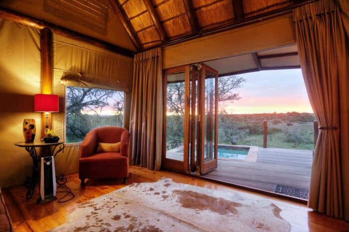 Cedarberg Travel | Amakhala Bush Lodge