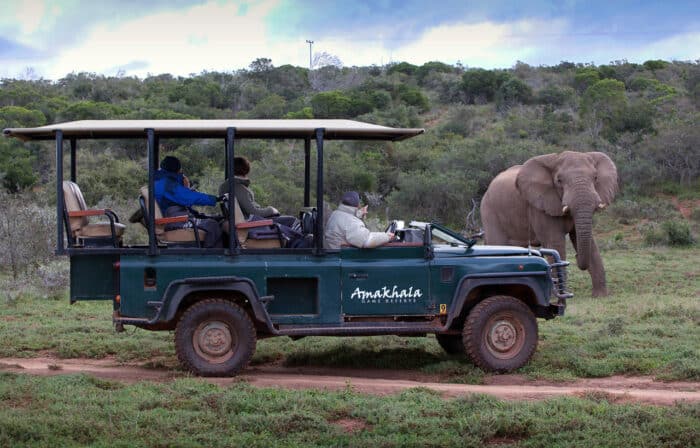 Cedarberg Travel | Amakhala Bush Lodge