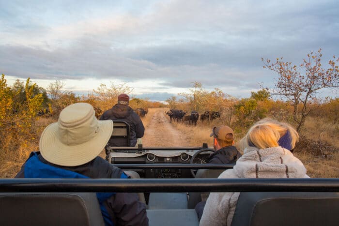 Cedarberg Travel | Makanyi Private Game Lodge