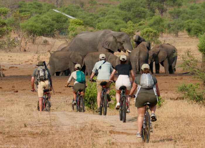 Cedarberg Travel | Jozibanini Camp