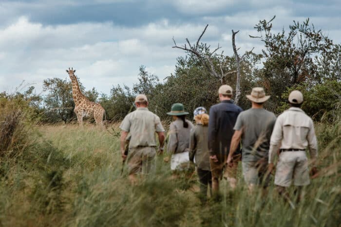 Cedarberg Travel | Tsowa Safari Island