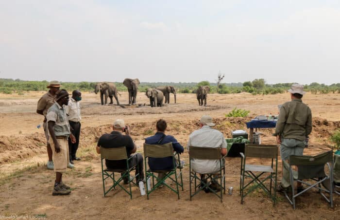 Cedarberg Travel | Jozibanini Camp