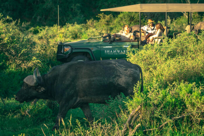 Cedarberg Travel | Sindile at Shamwari Private Game Reserve