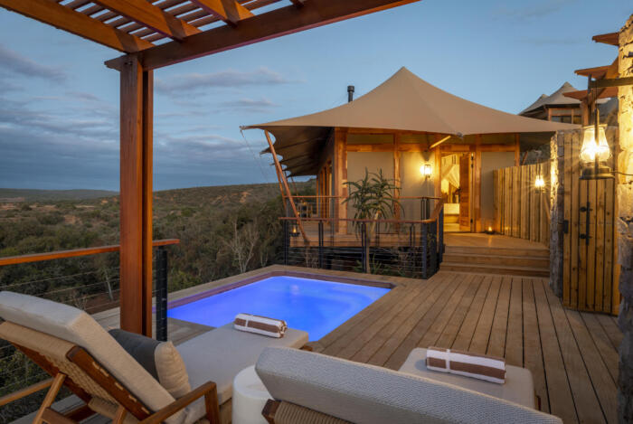 Cedarberg Travel | Sindile at Shamwari Private Game Reserve