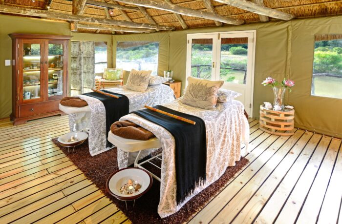 Cedarberg Travel | Sindile at Shamwari Private Game Reserve