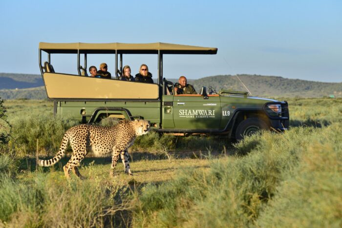 Cedarberg Travel | Sindile at Shamwari Private Game Reserve